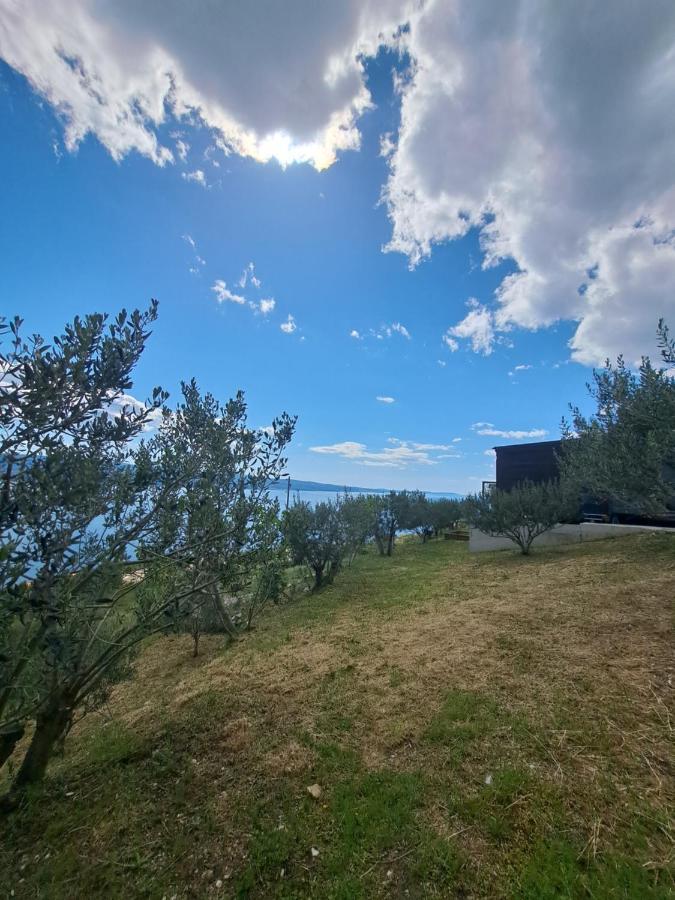 Bella Vista With Jacuzzi 1 Holiday home *